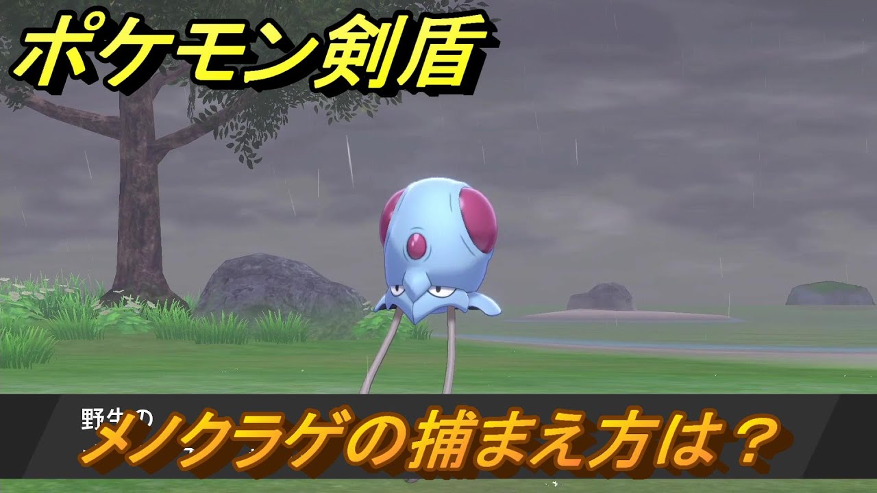 ポケモン剣盾　メノクラゲを捕まえる方法！オススメの場所は？天気は？ポケモン図鑑コンプへの道！　最新版【ポケモンソード・シールド】