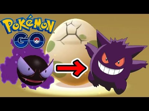 ゲンガー作るまで帰れません【ポケモンGO】ゴースの巣　さとちん水元公園