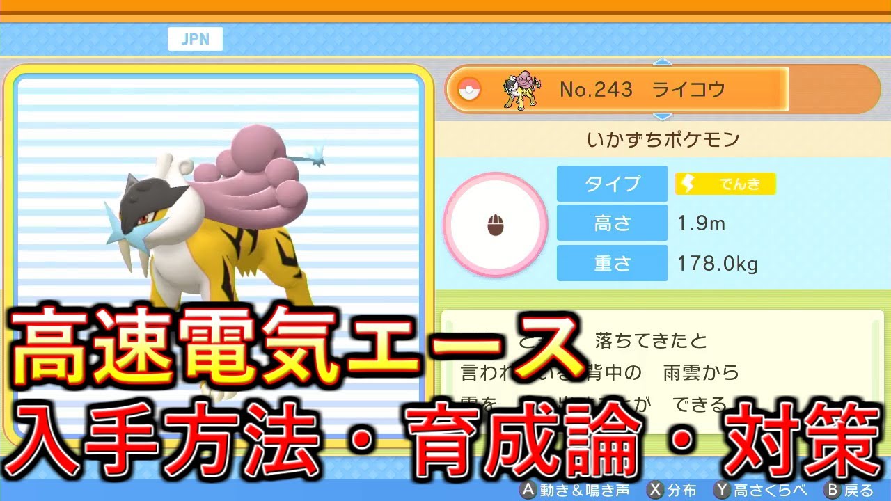 【ポケモンBDSP】器用さも備えた万能電気エース！ライコウの入手方法、育成論、対策を解説！【ダイパリメイク】