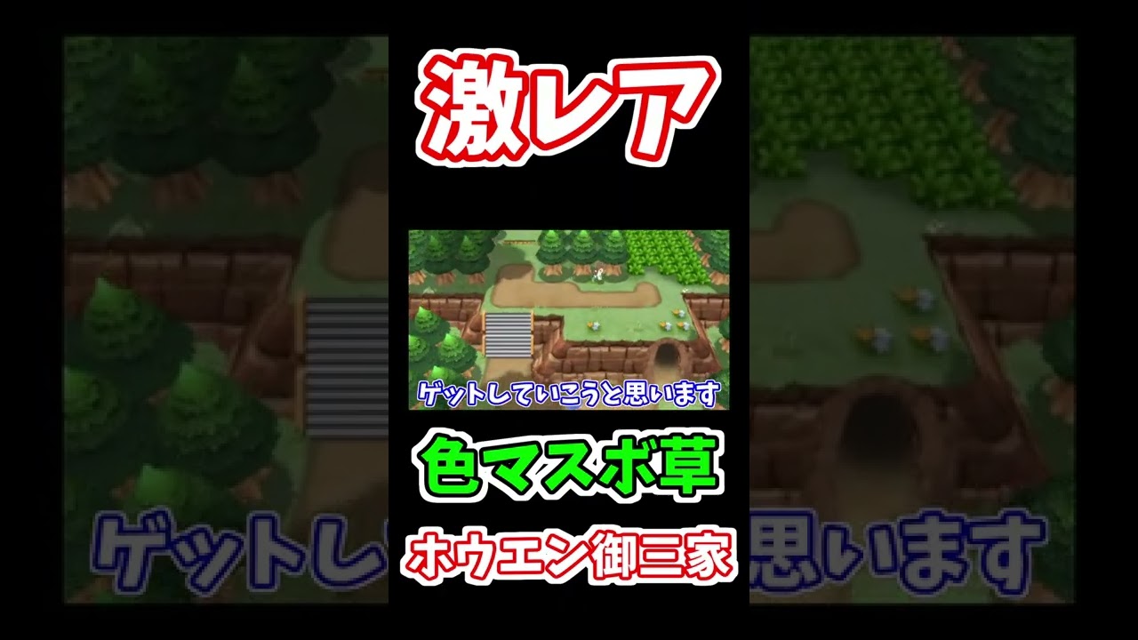 マスボ入り色違いキモリ系コンプ！！ジュカイン　＃shorts