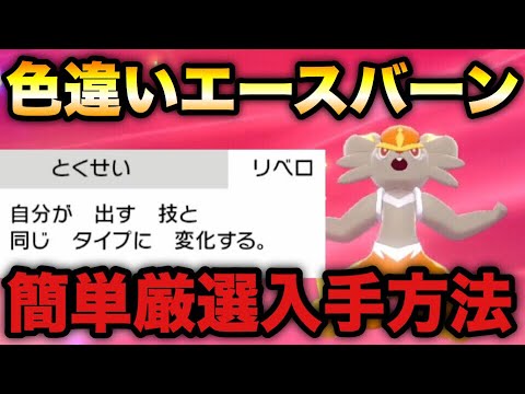 【ポケモン剣盾】対戦最強「色違い夢特性エースバーン」簡単入手方法【ソード・シールド】