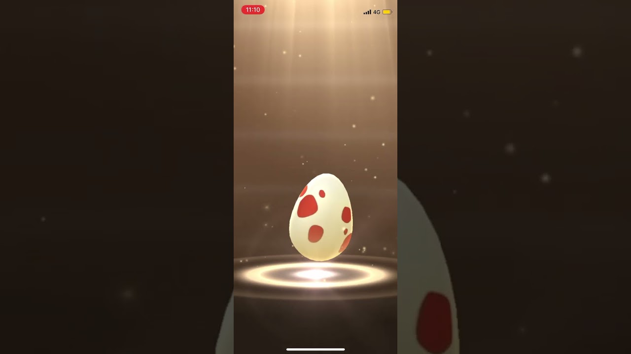 ポケモンGOメグロコ