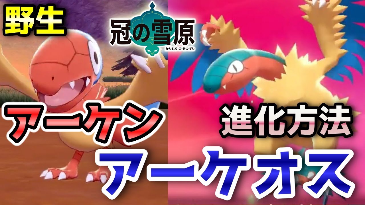 【冠の雪原】『アーケン・アーケオス』野生での出現場所・入手方法！アーケオスへの進化条件も実況解説【ポケモン剣盾】ニャン速ちゃんねる