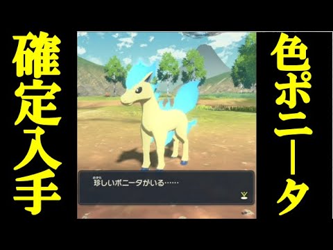 【序盤で可能！】色違いポニータを確定で入手する方法【Pokémon LEGENDS アルセウス】