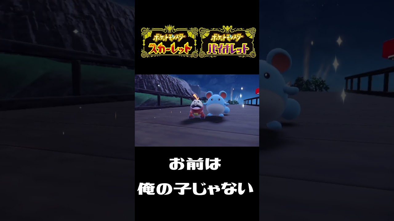 乱入マリル【ポケットモンスターSV】