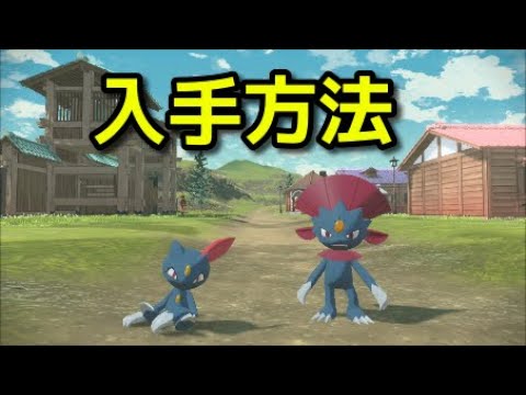 【ポケモン アルセウス】ニューラ マニューラ 入手方法 出現場所 捕まえ方【Pokémon LEGENDS アルセウス】