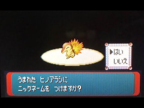 三世代版色違いヒノアラシ誕生