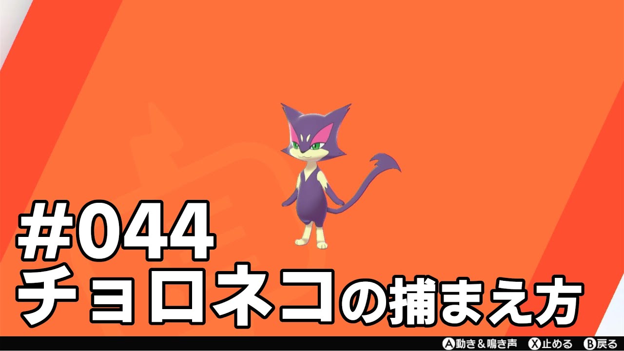 チョロネコを探している方に見てほしい動画