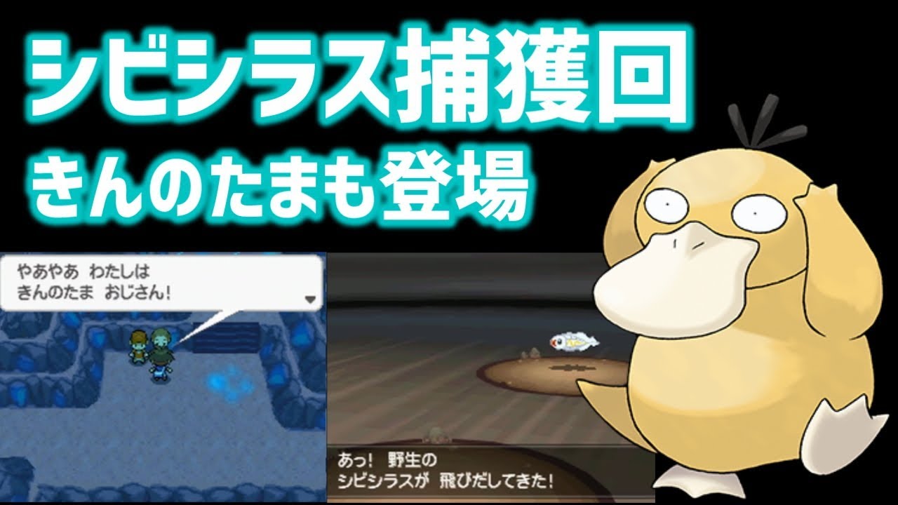 レアなシビシラスときんのたま【ポケモンBW2 切り抜き】