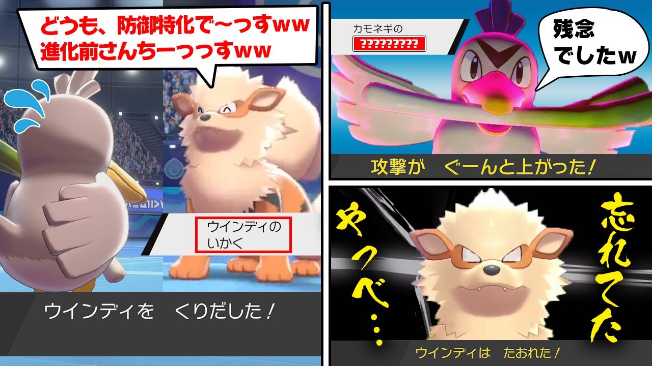 【抽選パ】急所だけじゃない!?カモネギの"ある特性"で対戦相手は顔面蒼白になりました...物理受けでは受かりません!!#41-1【ポケモン剣盾/ポケモンソードシールド】