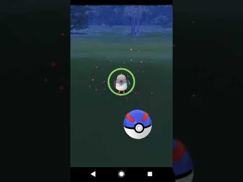 【ポケモンGO】散歩中にマメパト色違いに遭遇!!