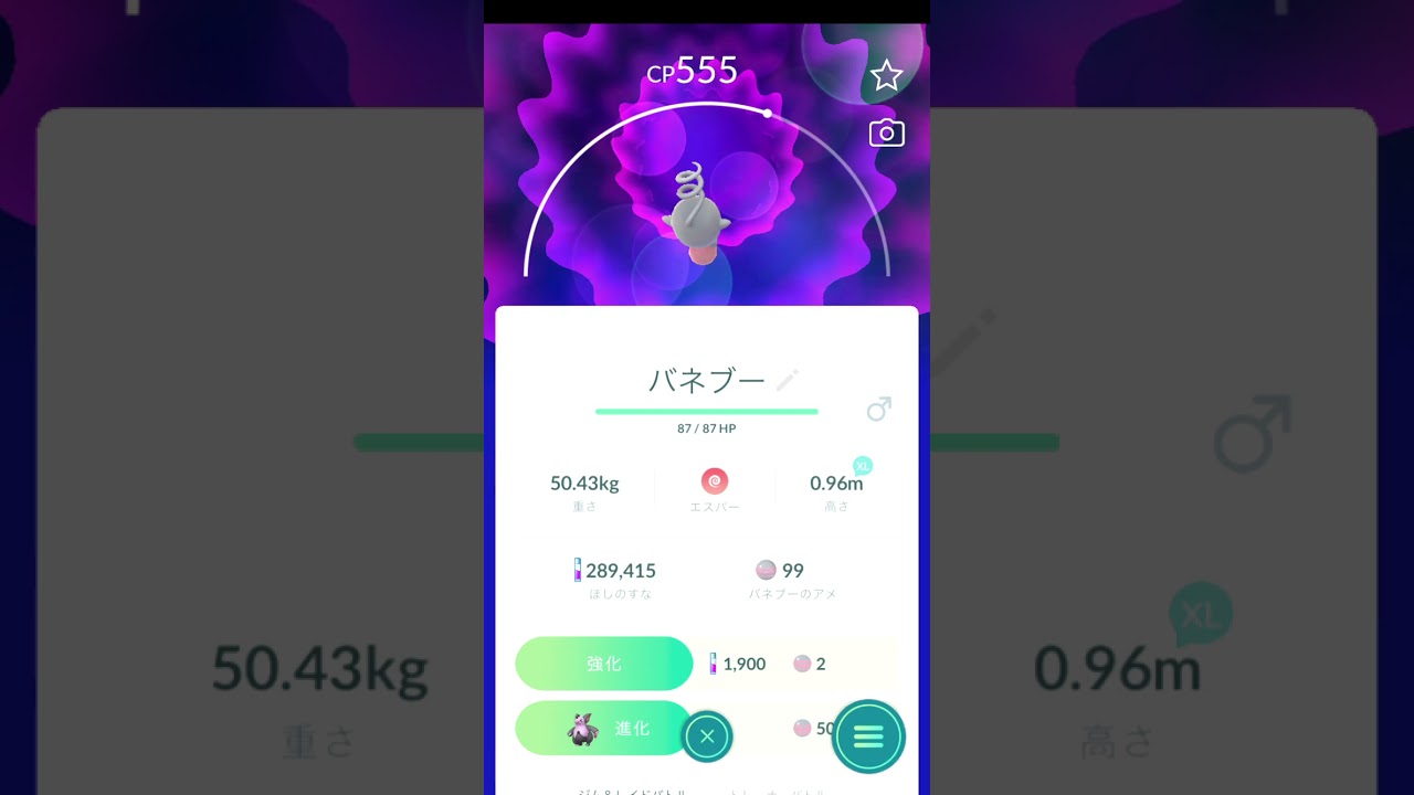 回る回るバネブー