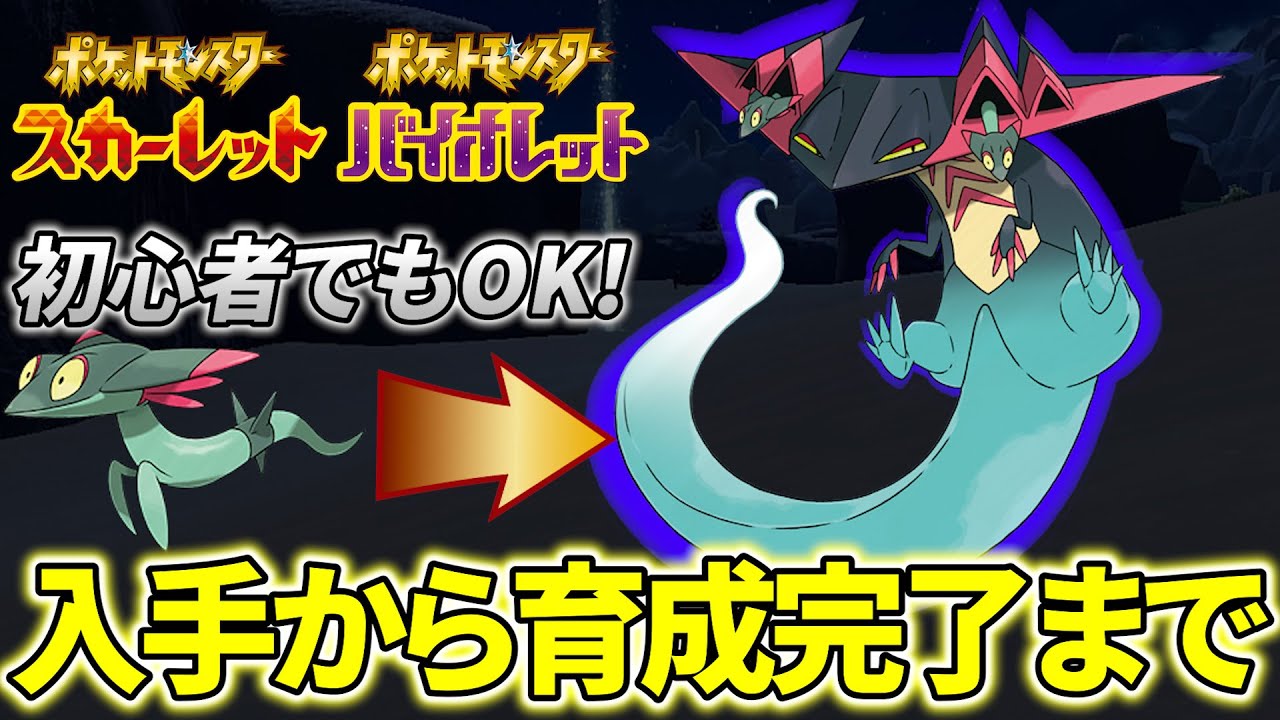 【ドラパルト 育成論 ポケモンsv】初心者でもこの動画を見ればランク対戦で使える育成済みドラパルトができます！(ポケモンスカーレットバイオレット)