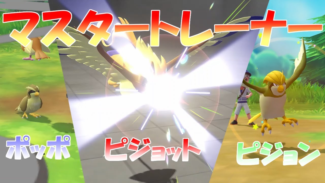 【ポケモン】マスタートレーナー戦（ポッポ～ピジョット）【ピカブイ】