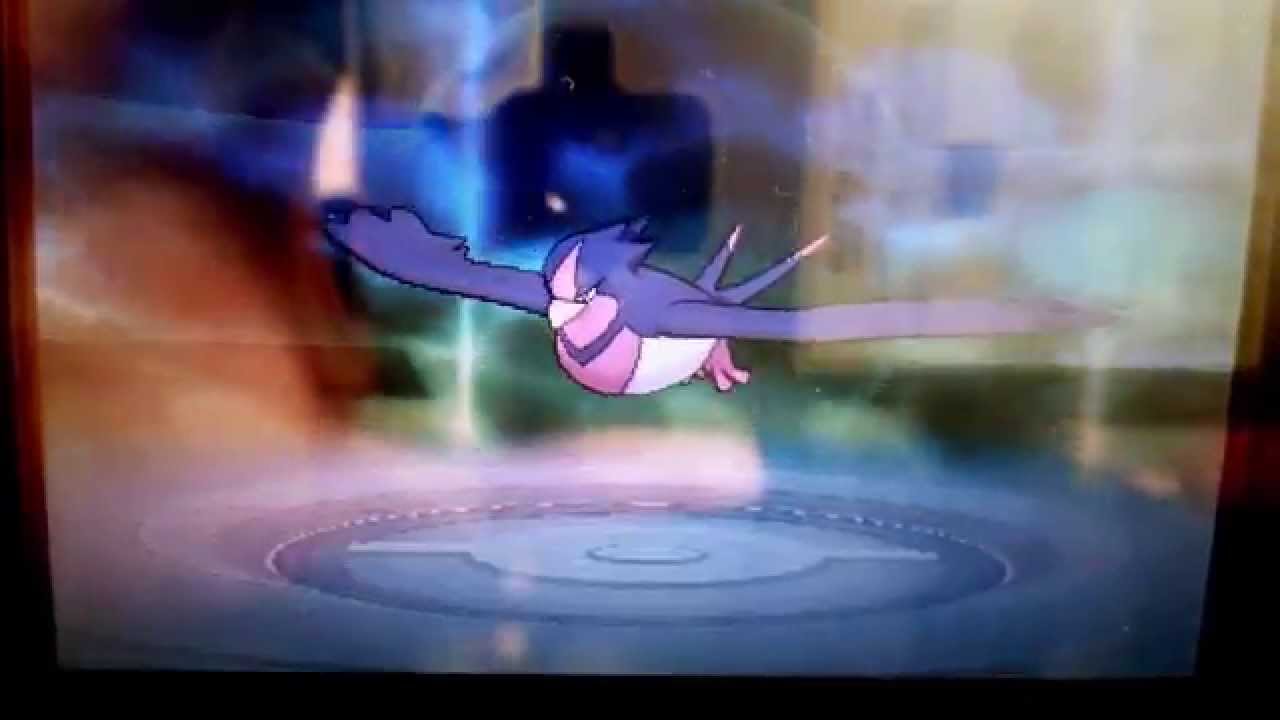 【ポケモンΩルビー】スバメ進化!?