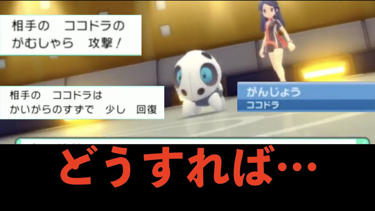 レベル１のココドラのがむしゃらに遊ばれる奴……【ポケモンダイパリメイク配信切り抜き】