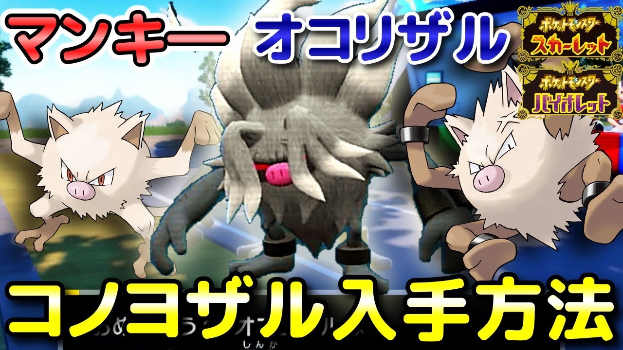 【ポケモンSV】コノヨザル（マンキ―・オコリザル）の入手方法・出現場所！コノヨザルの少し特殊な進化条件も解説します！【スカーレット・バイオレット】