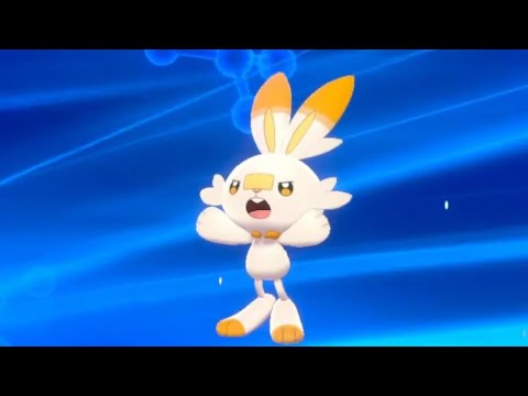 もちまるより可愛いポケモン日記「ヒバニー→ラビフット→エースバーン」Pokemonswordshield ShinyPokémon