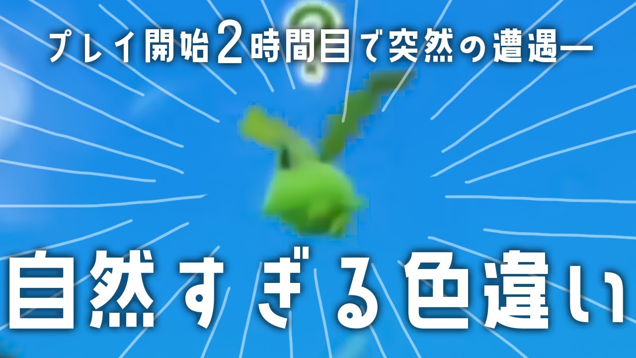 【ポケモンSV】序盤での色違いハネッコにビビり散らかす【紅 シロド】