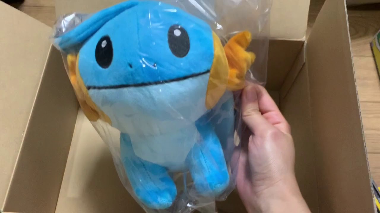 注文したミズゴロウのぬいぐるみ届いた