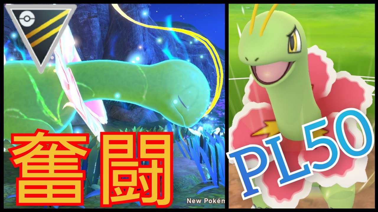 【GOバトルリーグ】もっと早く育成すれば良かった……！PL50メガニウムが大活躍しすぎた件！【ハイパーリーグ】