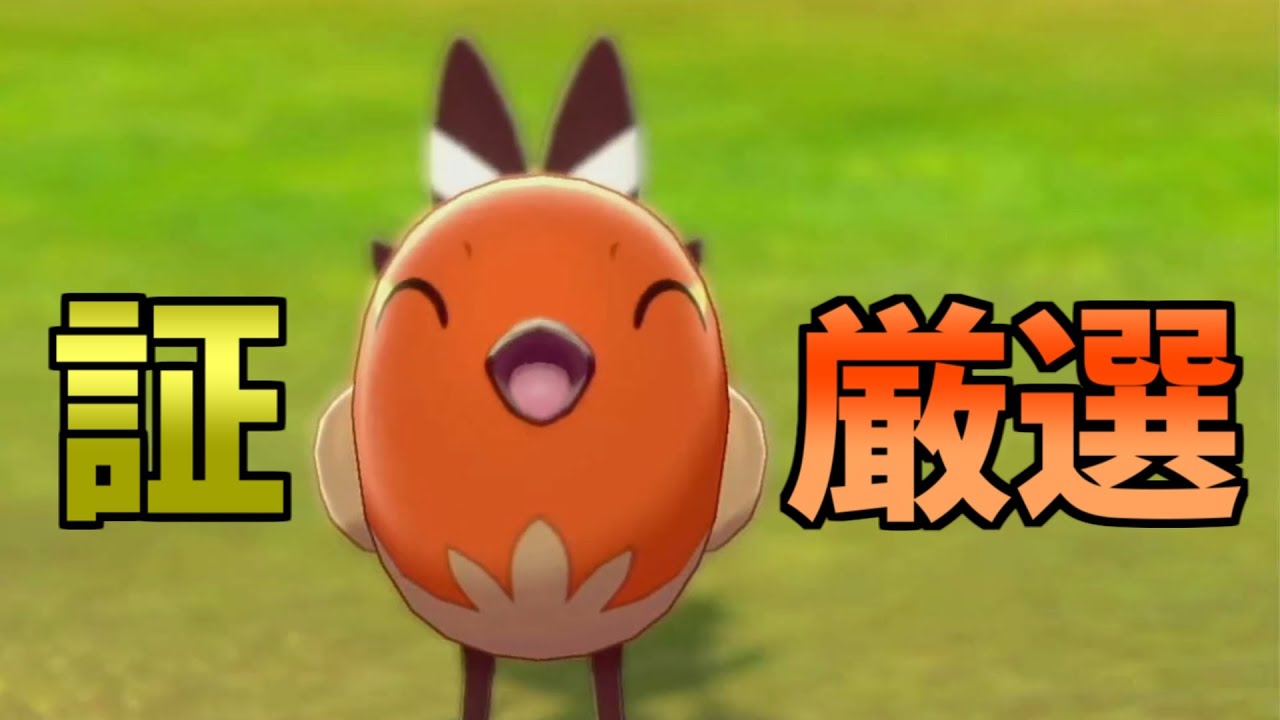 証付き色違いヤヤコマを粘り続けた結果…！！【ポケモン剣盾】#shorts