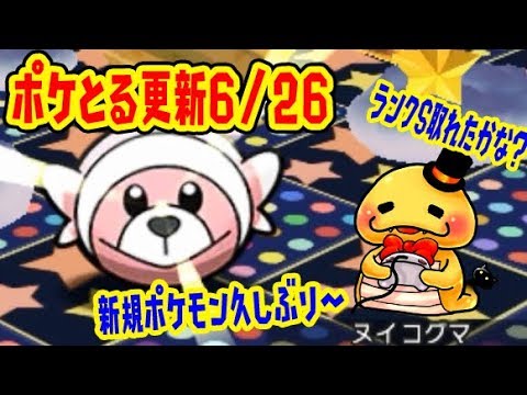 新規でヌイコグマが登場！（キテルグマは既に登場してますｗ）【つちのこSランク取れたか？&ギラティナレベルアップ】ポケとる実況