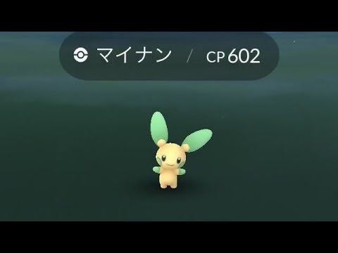 【ポケモンGO】色違い大量発生！マイナンとプラスルの色違い！【Pokemon Go】