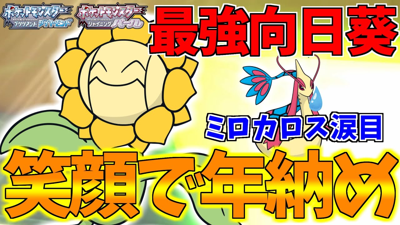 【ポケモンBDSP】１年を笑顔で締めくくる！キマワリのバグレベルの火力で最強の受けポケモンミロカロスを完全破壊して最高の笑顔にｗｗｗ【ダイパリメイク対戦】