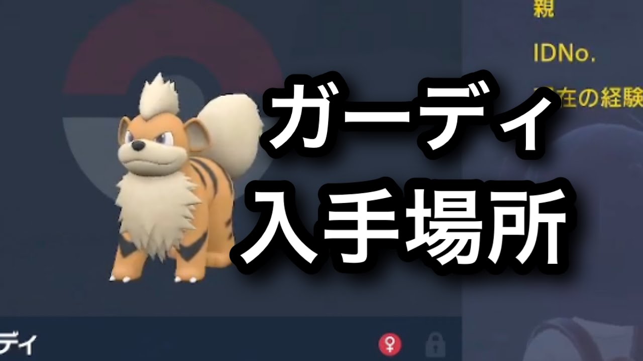 【SV】【速報】ガーディ入手場所