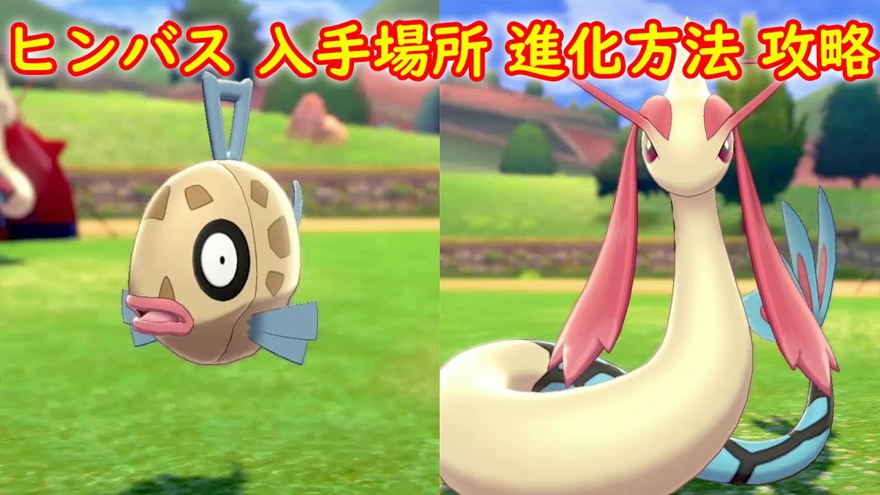 【ヒンバス → ミロカロス】入手場所 進化方法 攻略【ポケモン ソード シールド ポケモン剣盾】