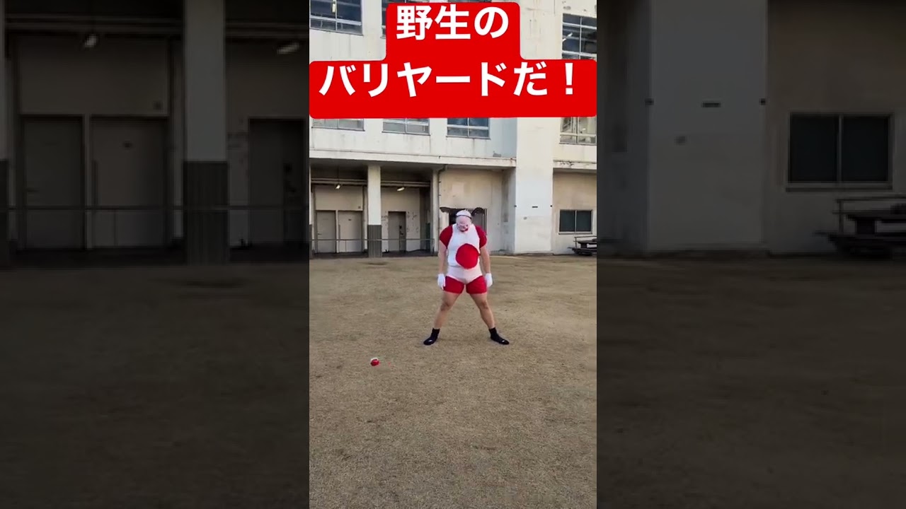 野生のバリヤード