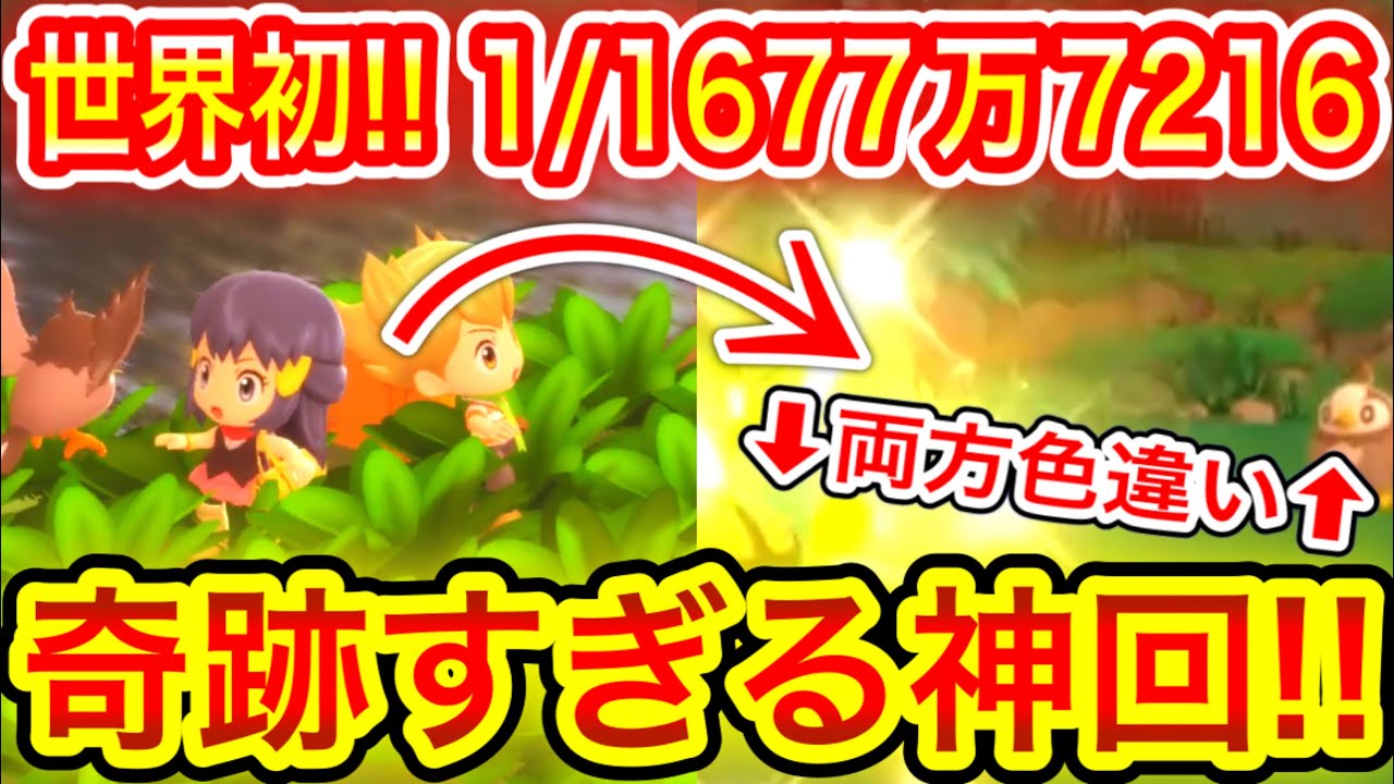 【緊急速報】世界初！1/1677万7216 色違いナエトルと色違いムックルを両方出した方が現れる！奇跡すぎる神回ヤバすぎる！【ポケモンBDSP/ブリリアントダイヤモンド/シャイニングパール/バグなし】