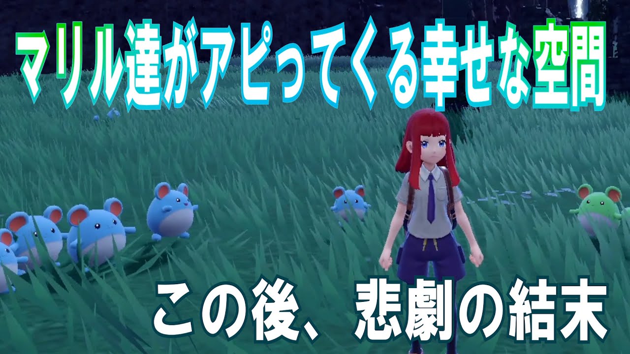 色違いマリルを厳選中に起きた悲劇【ポケモンSV】