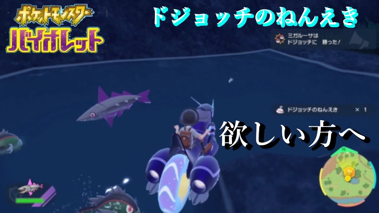 [ポケモンSV] 　ドジョッチのねんえきが欲しい方へ