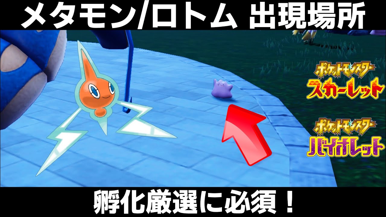 【ポケモンSV】メタモン/ロトムの出現場所/入手方法！孵化厳選に必須！捕まえておこう！【スカーレット/バイオレット】