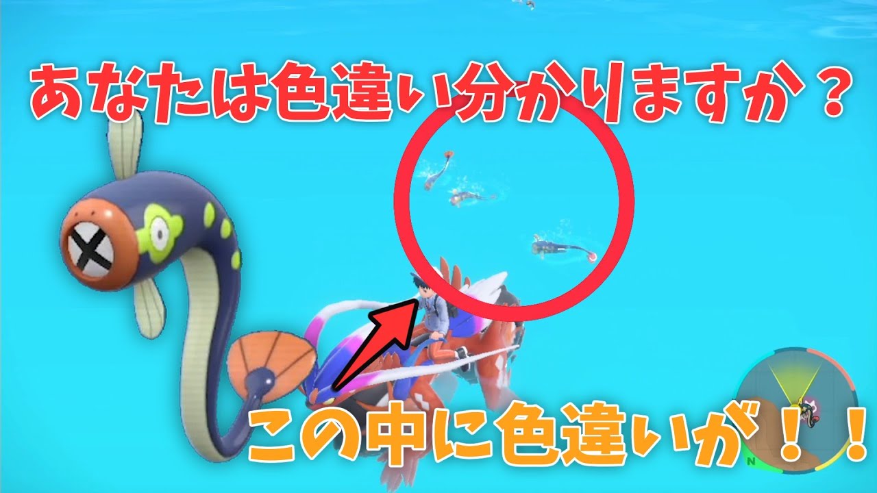 【ポケモンSV】シビビールの色違い見分け方講座！悩める厳選勢に届け！！