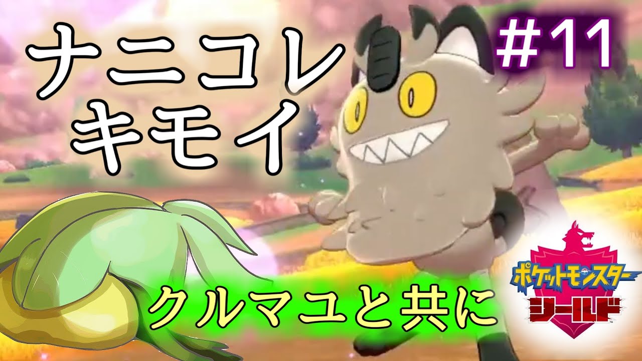 【あこう】クルマユと共に【シールド】11