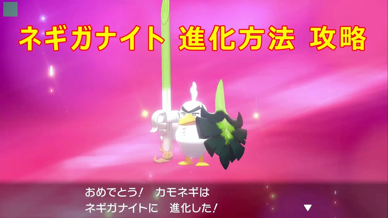 【ネギガナイト】カモネギ 進化方法 攻略【ポケモン ソード シールド ポケモン剣盾】