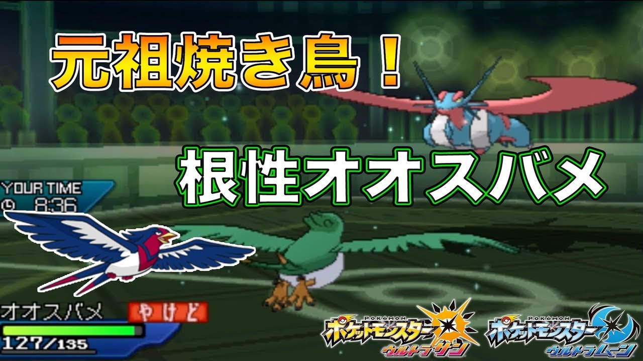 【ポケモン】元祖焼き鳥型！かえんだま根性オオスバメで空中戦に挑む【ゆっくり実況】