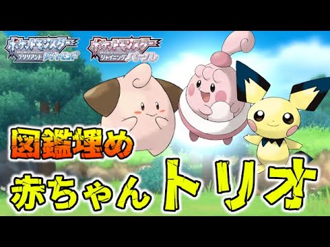 【図鑑埋め】「ピチュー・ピンプク・ピィ」持ちトレーナー紹介【ポケモンBDSP/ダイパリメイク】