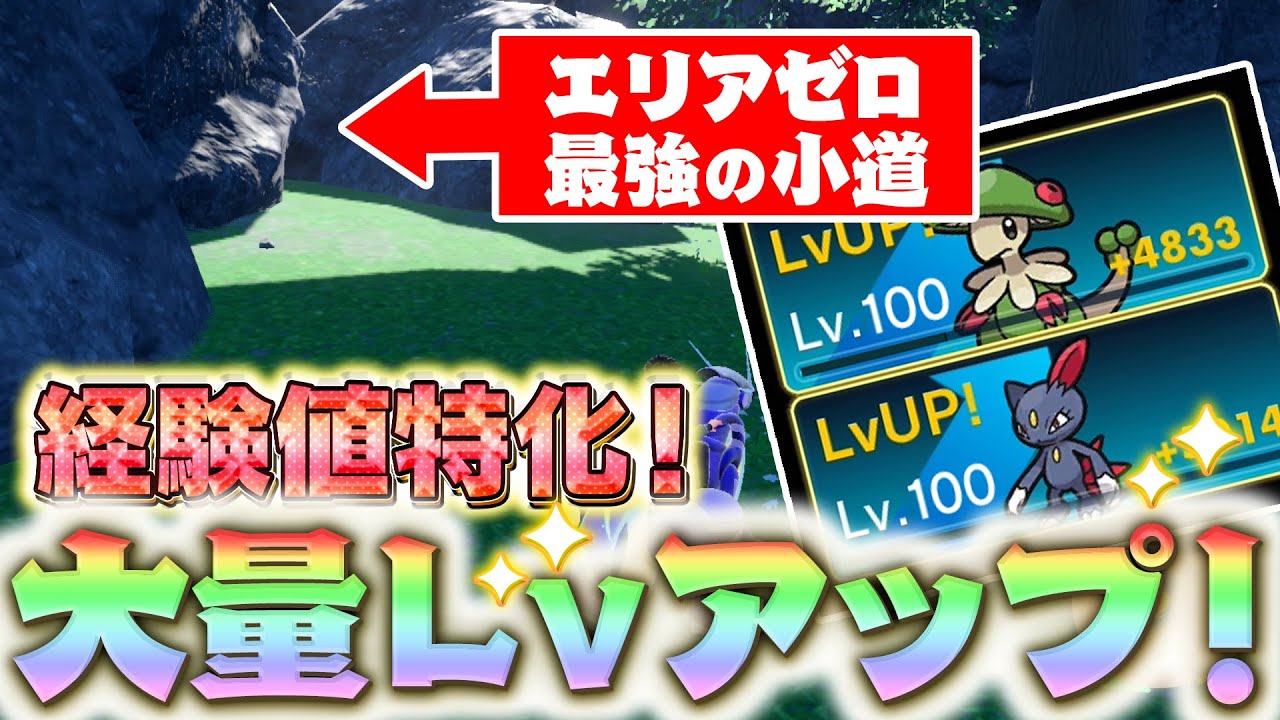 【ポケモンSV】一瞬で経験値50000万超え！！クリア後にできる最強経験値稼ぎを簡単解説！【スカーレット・バイオレット】