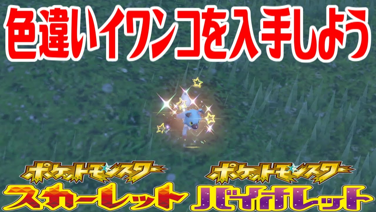 【ポケモンSV】色違いイワンコを入手しよう【ポケットモンスター スカーレット・バイオレット】Pocket Monsters
