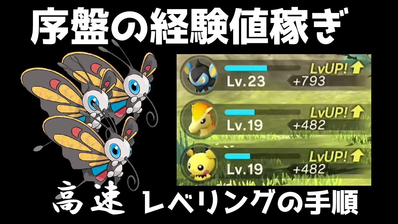 【Pokémon LEGENDS アルセウス】序盤アゲハント高速レベリング！