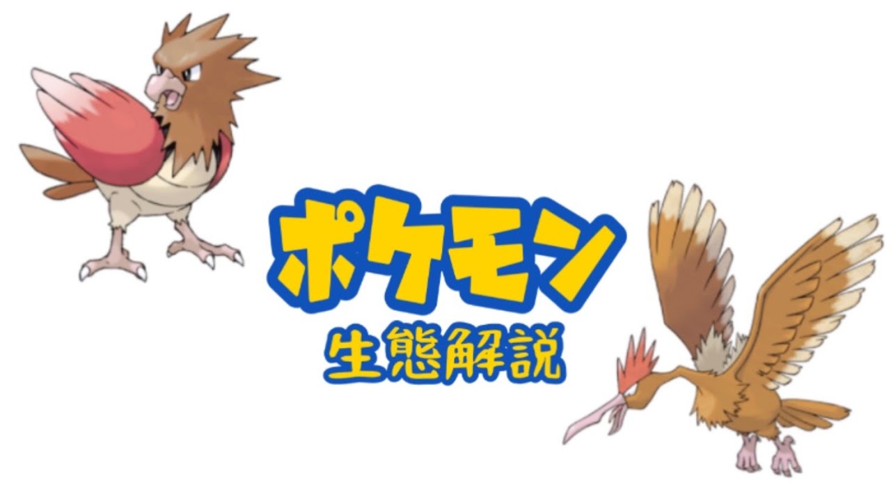 【PSA10】オニスズメ ポケモンカードe 027/128 PSA10】オニスズメ ポケモンカードe 027/128 オニスズメ【C】{039/054}