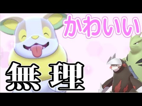 【ポケモン剣盾】バンギドリュ崩壊!?ワン統一のワンパチが可愛すぎてもう無理【11月11日後編】