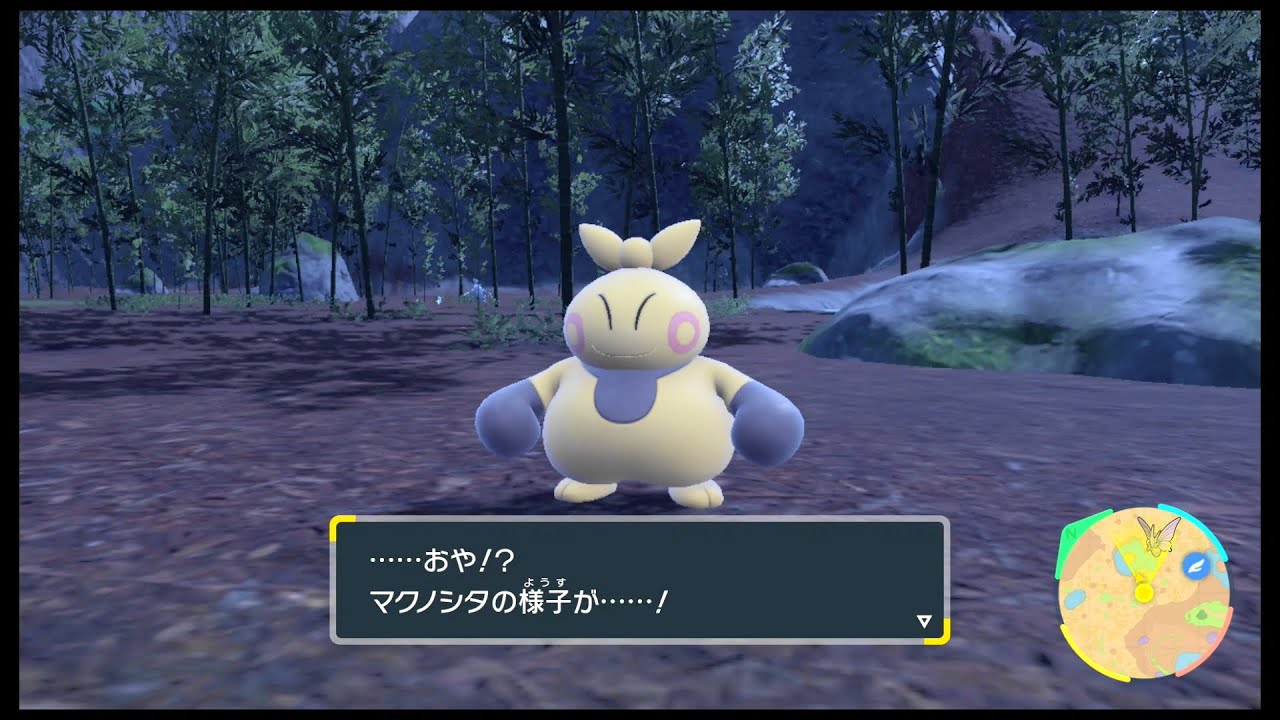 SVのポケモン　マクノシタ レベル24の進化