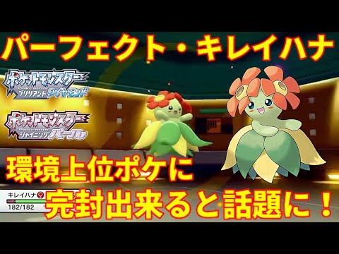 【ポケモンBDSP】パーフェクト・キレイハナが環境上位のポケモンにブッ刺さりと話題に！【ダイパリメイク】