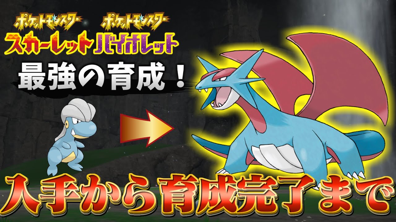【ボーマンダ 育成論 ポケモンsv】初心者でもこの動画を見れば最強のボーマンダできます！(ポケモンスカーレットバイオレット)
