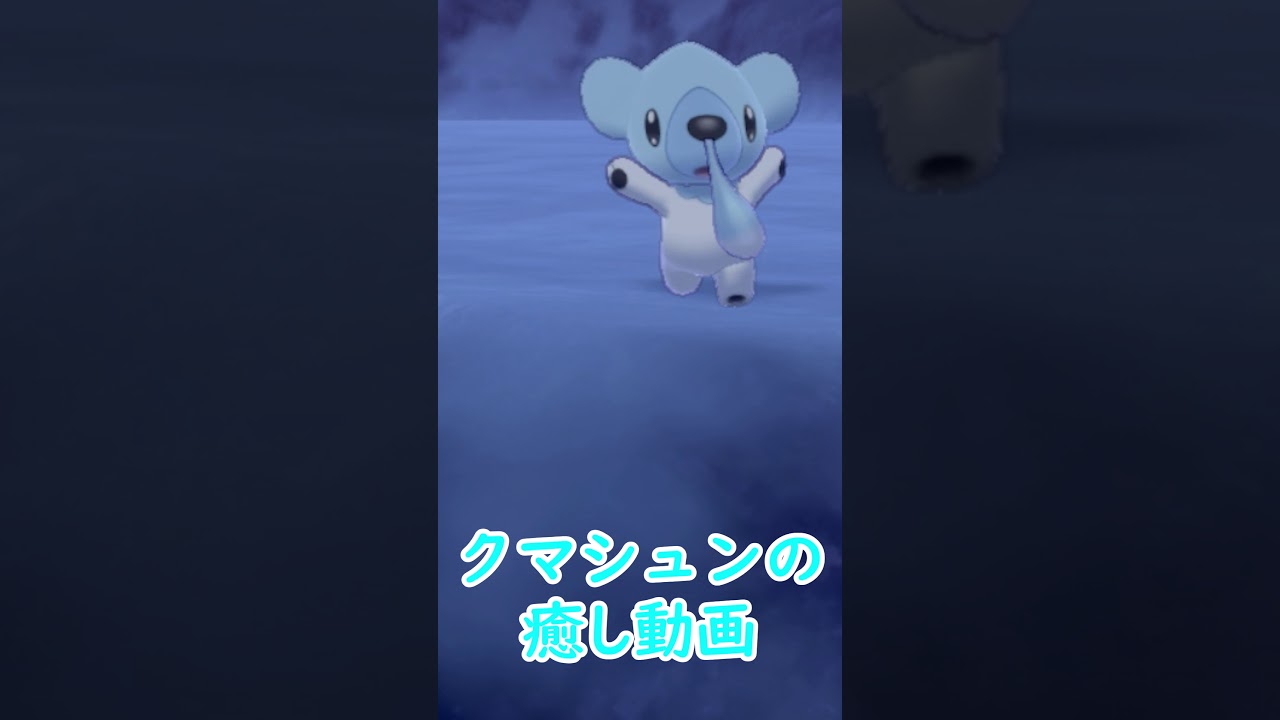 【ポケットモンスター剣盾】可愛いクマシュン【癒し映像】 #shorts